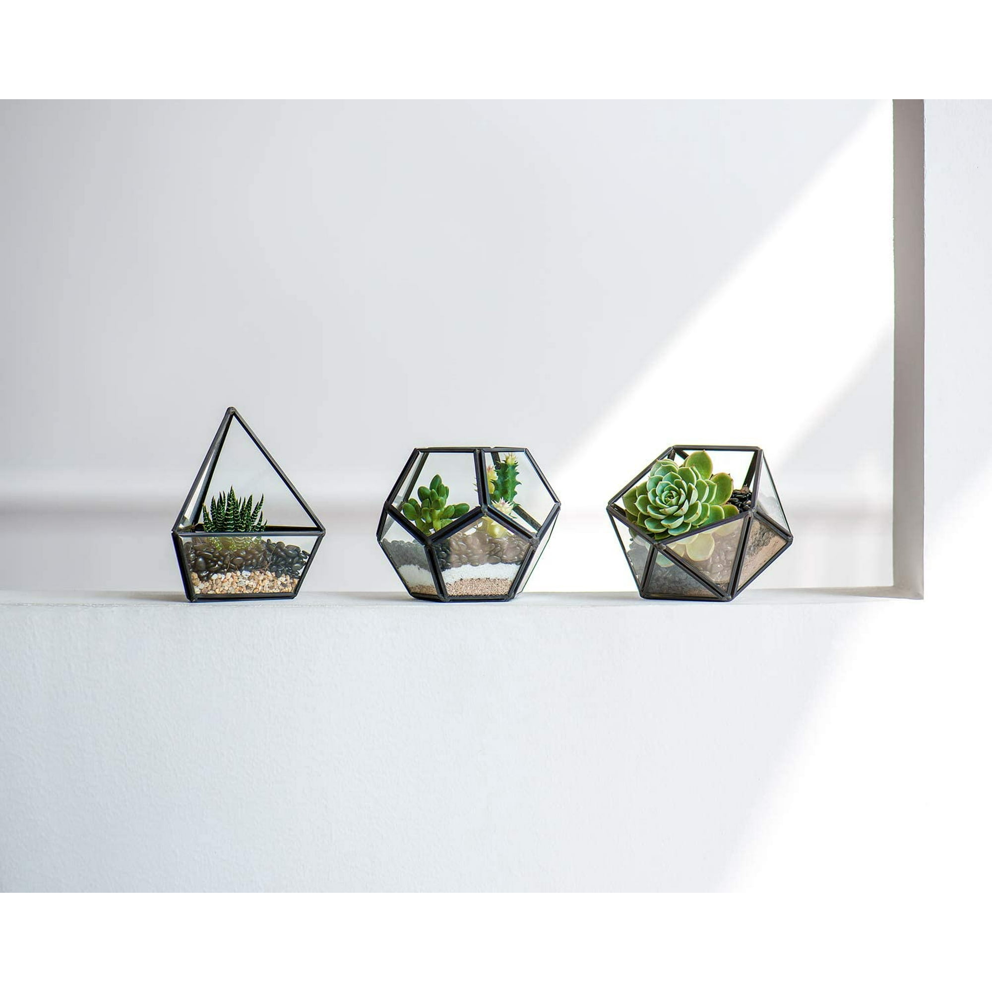 Gold Set of 3 Mini Vertical Miniature Potted Fake Plant for Home Office Decor Dorm Wedding Gift Idea Mkono Artificial Succulent Plants with Hanging Glass Geometric Terrarium Gold Set of 3 Mini Vertical Miniature Potted Fake Plant for Home Office Decor Dorm Wedding Gift Idea Mkono Artificial Succulent Plants with Hanging Glass Geometric Terrarium